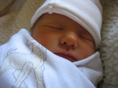 bundle2.jpg