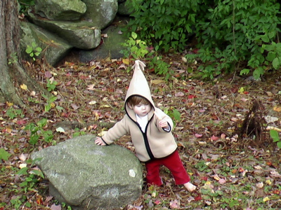 gnome2.jpg