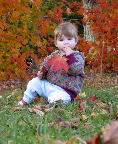 leaf.jpg